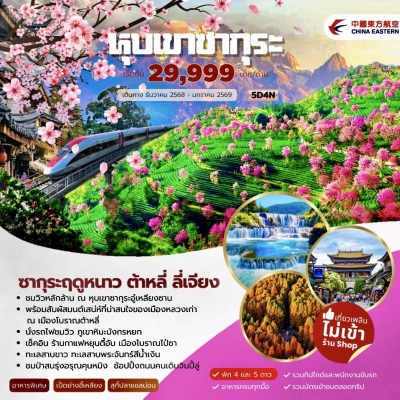 ซากุระอู๋เหลียงซาน ภูเขาหิมะมังกรหยก  5 วัน 4 คืน